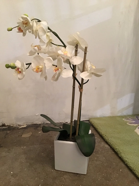 21" faux white orchid in white square vase