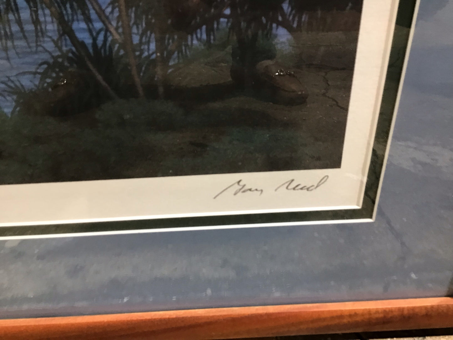 Signed Gary Reed Print, koa wood frame, 46"x31"